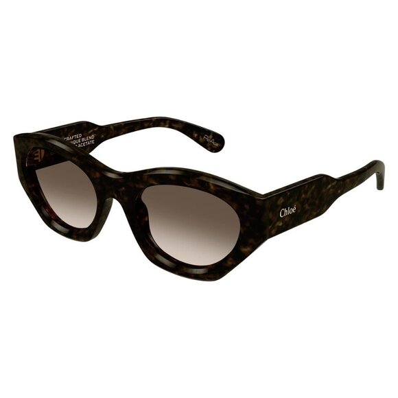 New CHLOE Havana Cat Eye CH0220S 002 Sunglasses Women - Picture 1 of 4